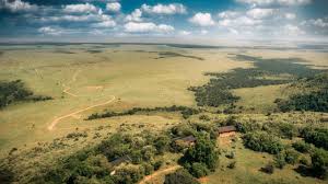 3 DAYS MAASAI MARA SAFARI